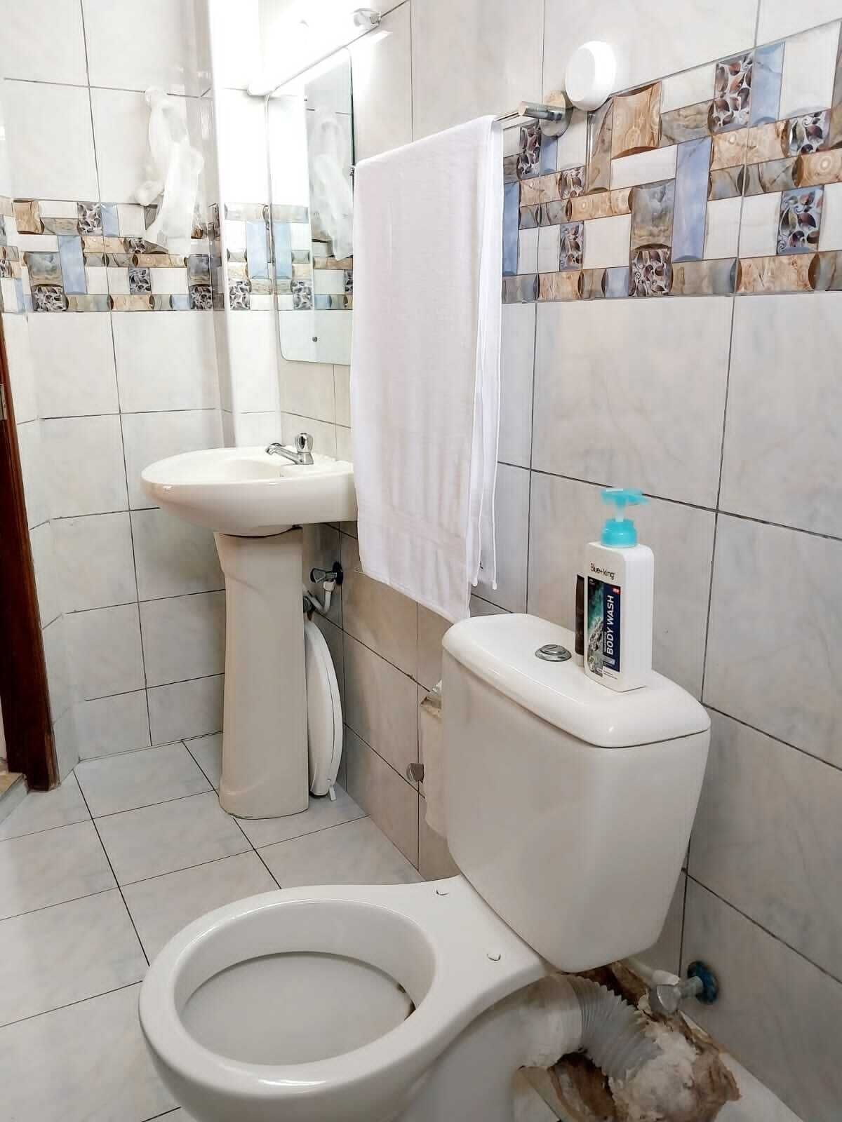 A bathroom with a toilet, sink, and a towel hanging on the wall.