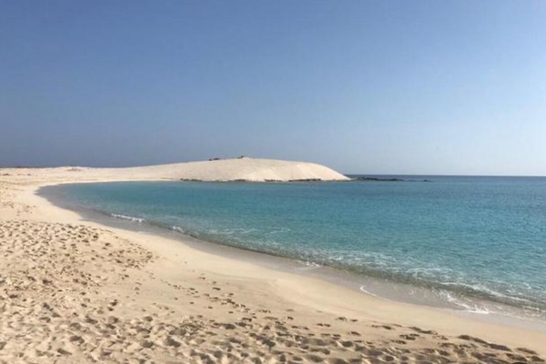 Tumbonas y toallas de playa