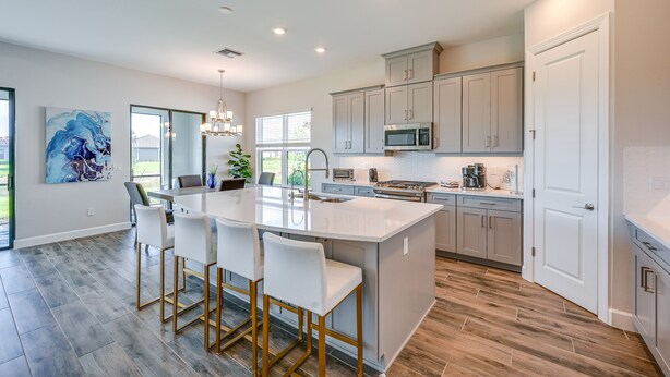 Private kitchen - Stunning Naples Vacation Home w/ Lanai! (Naples)
