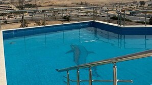 A swimming pool with a view of the pyramids in the background. - VIP Al Fouad pyramids & spa (Giza)