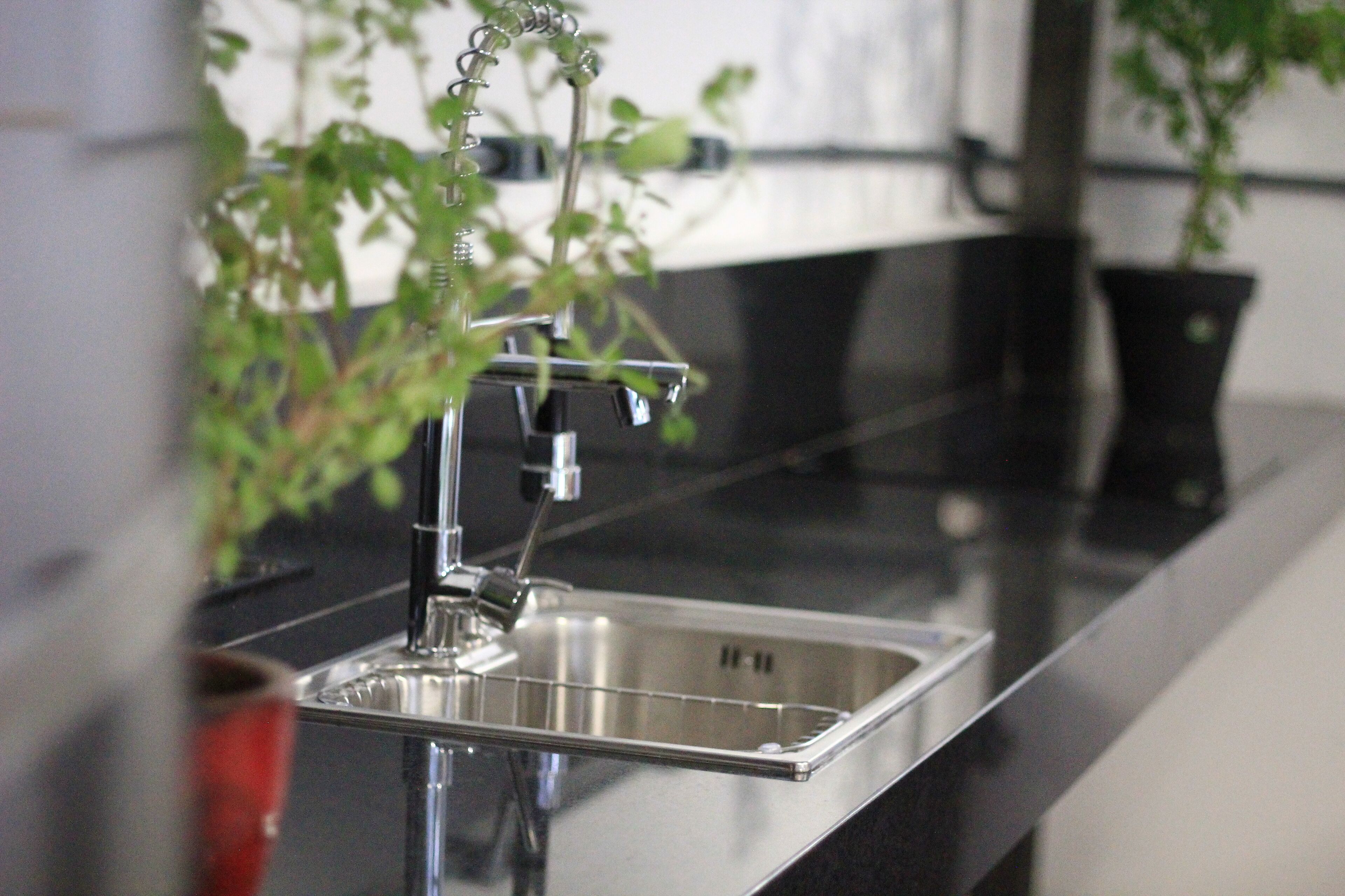 A modern kitchen with a stainless steel sink, a faucet, and a potted plant.