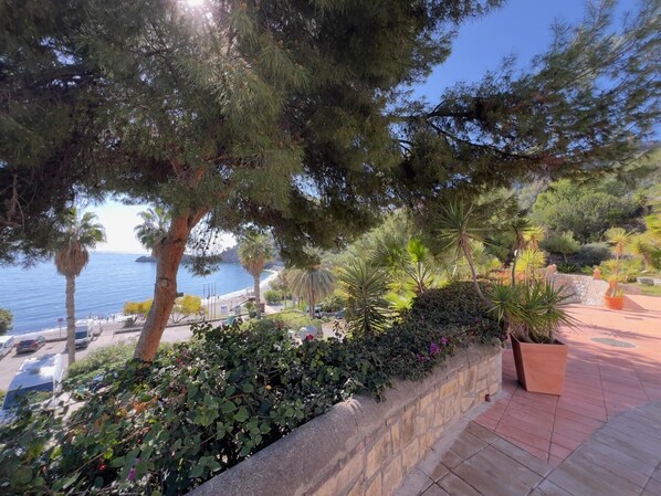 A coastal garden with a stone wall, various plants, and a view of the sea.