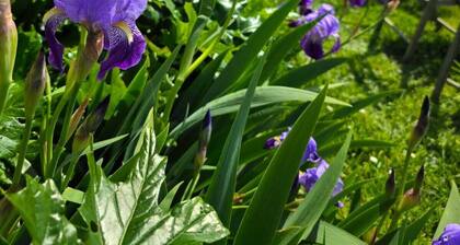 Situation unique sur la Ria d'Etel (Morbihan) - 14 personnes