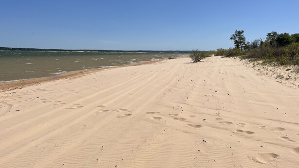 A sandy beach with footprints and sparse vegetation.