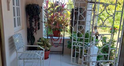 Cute Studio with Private Terrace