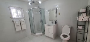 Douche, sèche-cheveux, serviettes fournies, savon