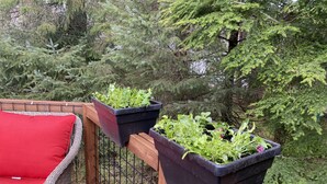 Une terrasse en bois avec une chaise en osier et un coussin rouge, ainsi que deux jardinières rectangulaires noires contenant des plantes vertes.