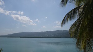 A calm lake with a mountain range in the background and a palm tree in the foreground. - The perfect tropical getaway for couples, families and friends! (Montego Bay)