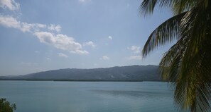 Property grounds - The perfect tropical getaway for couples, families and friends! (Montego Bay)