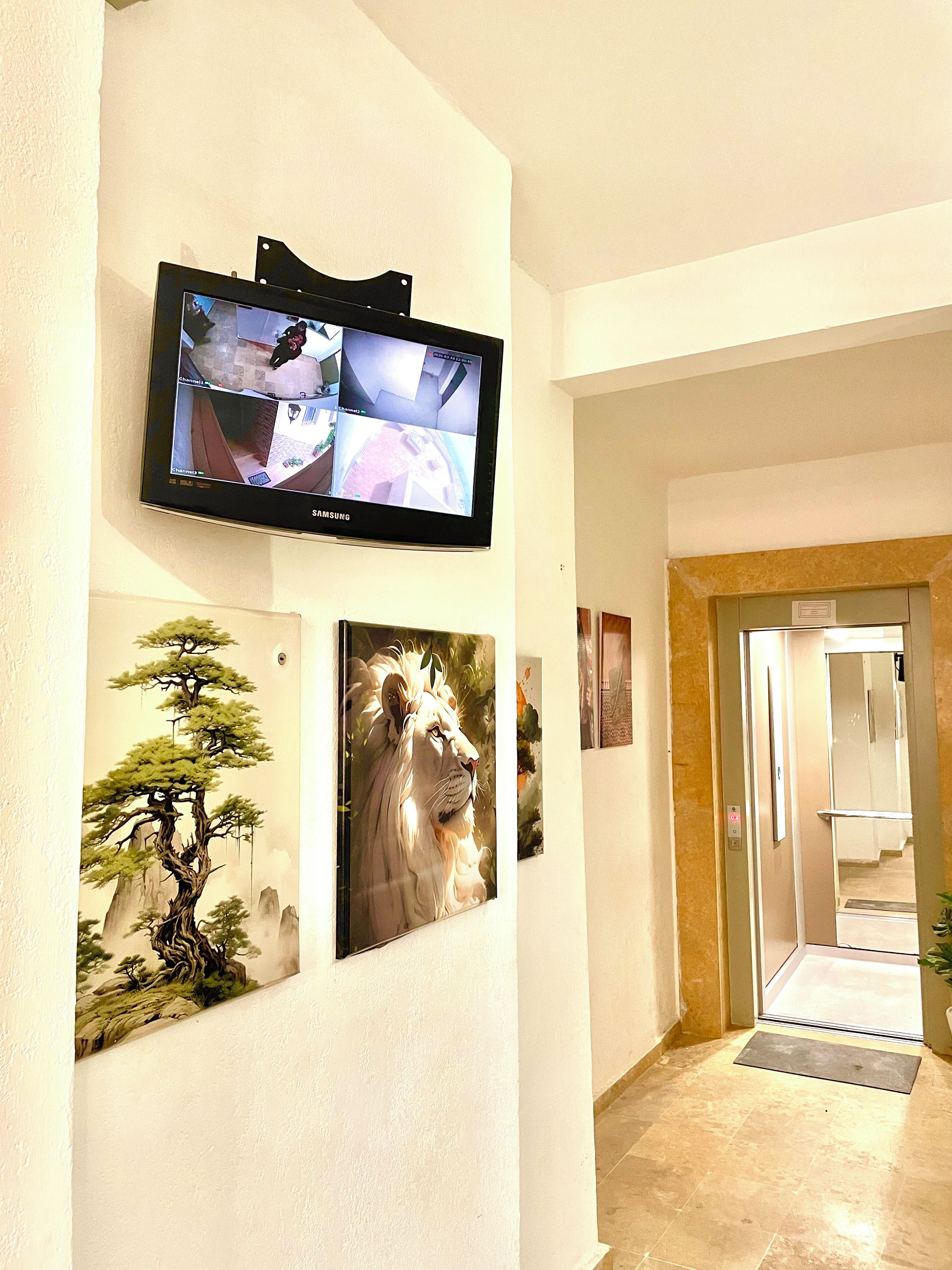 A hallway with a mounted television displaying multiple camera feeds, a framed painting of a lion, and another painting of a pine tree.