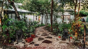 A garden pathway with stepping stones, surrounded by various plants and trees. - Mini Oasis in Avellanas beach, natural pool, parking, A/C, kitchen #1 (Tamarindo)