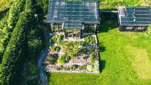 En vy från ovan av ett hus med ett stort tak, en trädgård med olika växter och en stensatt gång som leder till entrén.