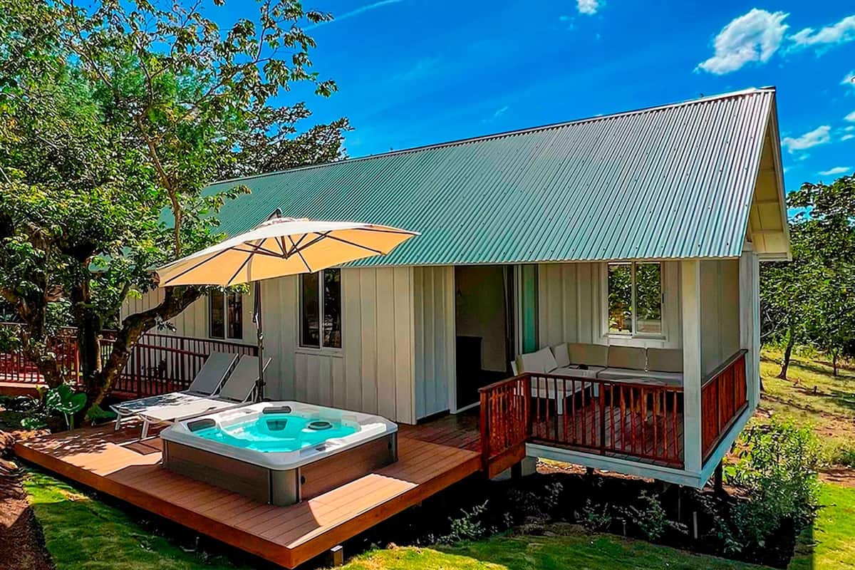 Panoramic Cabin, 1 Katil Raja (King), Hot Tub, Mountain View | Peralatan tempat tidur hipoalergenik, peti besi dalam bilik