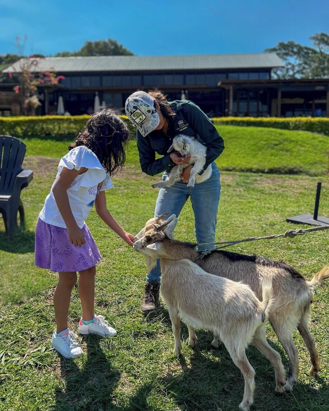 Actividades infantiles