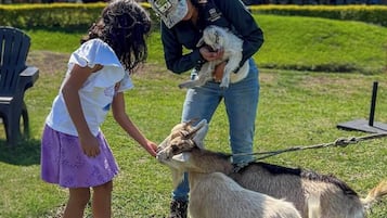 Actividades infantiles