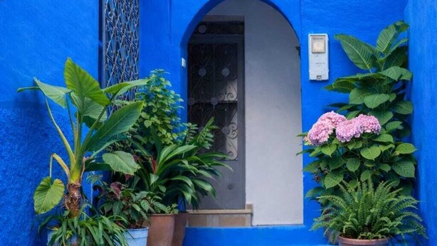 A narrow alleyway with a blue-painted building, a door, and potted plants.