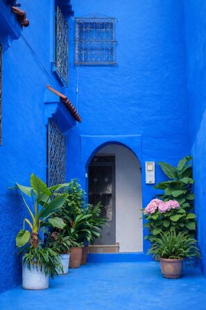 A narrow alleyway with a blue-painted building, a door, and potted plants. - DAR LA Aicha Chefchaouen (Chefchaouen)