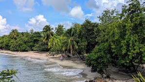 Una playa con cielos despejados, palmeras y una orilla arenosa.