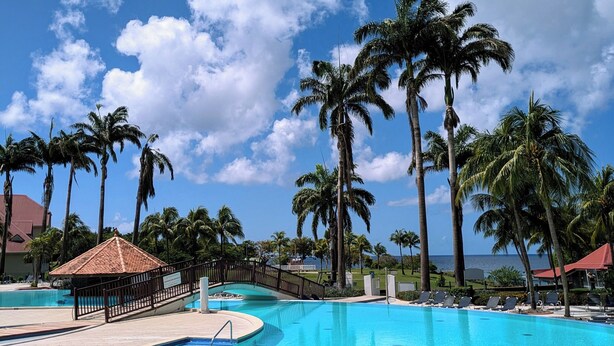 Una piscina grande y cristalina rodeada de palmeras y un cielo azul despejado.