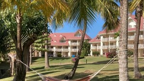 Una hamaca entre palmeras en una zona de resort, con un edificio al fondo.