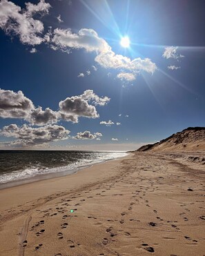 サンラウンジャー、ビーチタオル