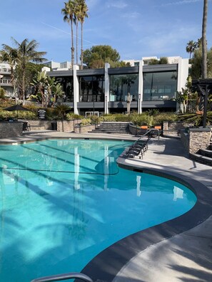 Pool - Luxury One Bedroom Beachfront Condo at Redondo Beach PIer (Redondo Beach)