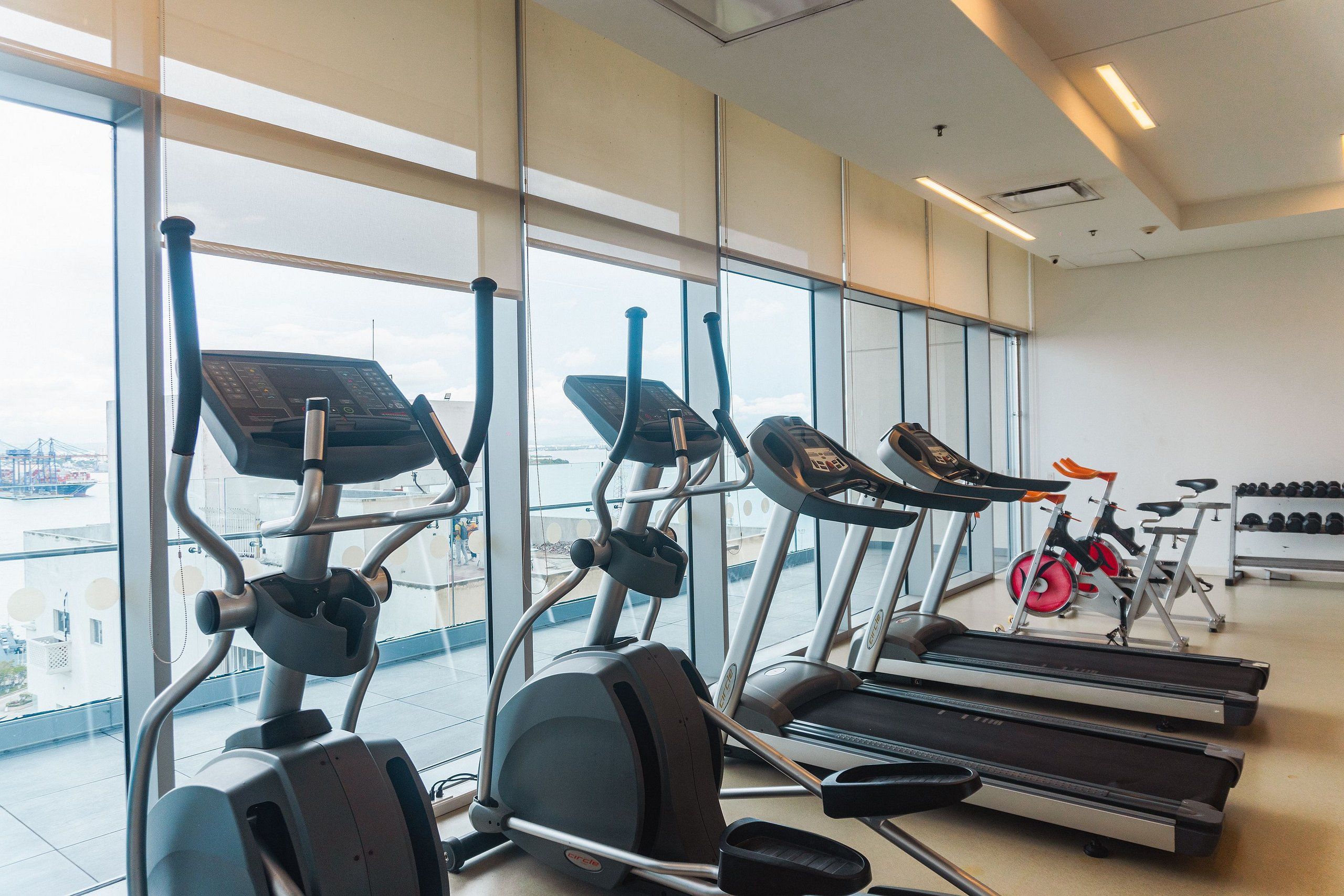A gym with treadmills, ellipticals, and a stationary bike, large windows, and a view of a cityscape.
