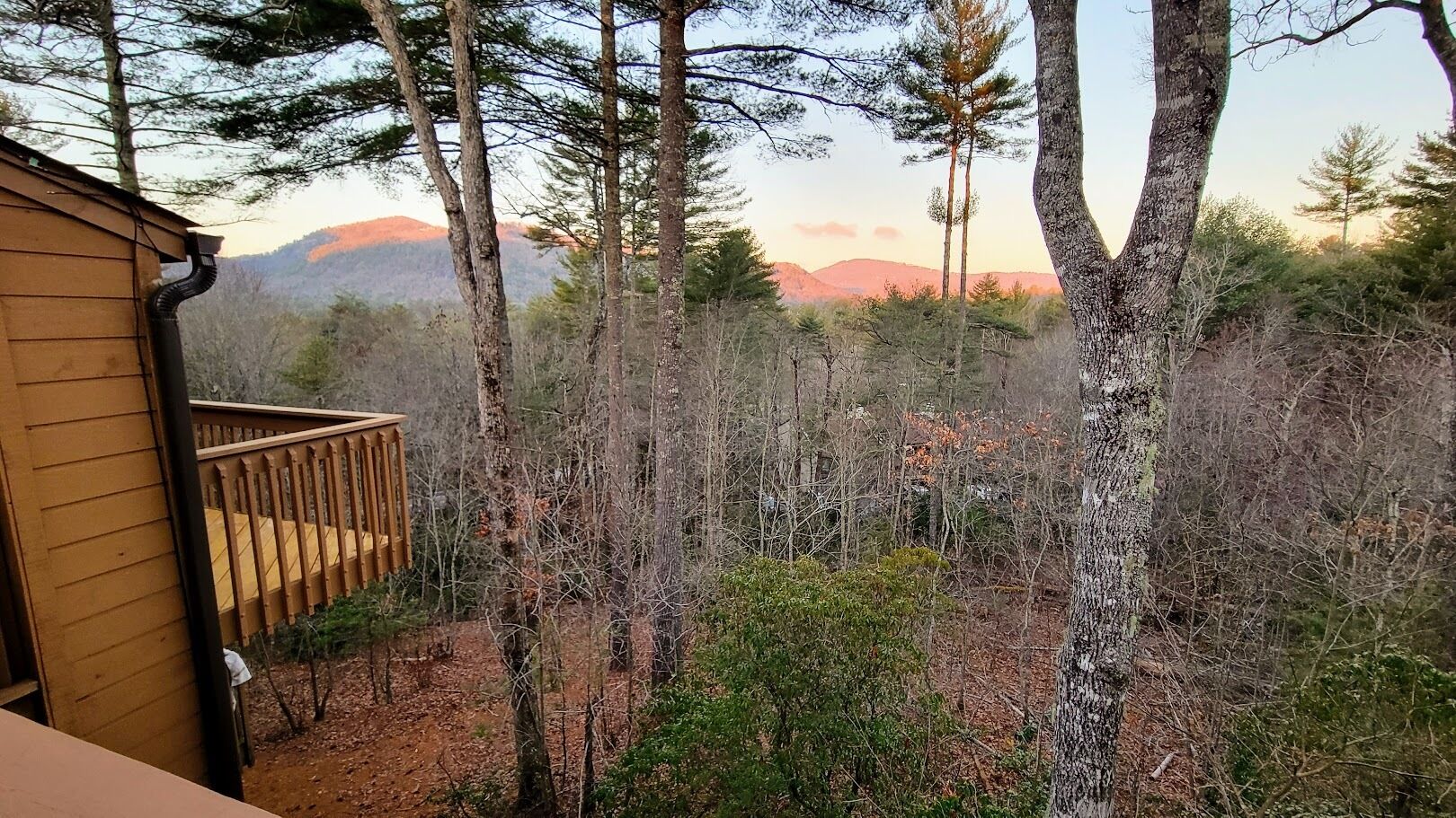 Une terrasse en bois offrant une vue sur une forêt et des montagnes lointaines.