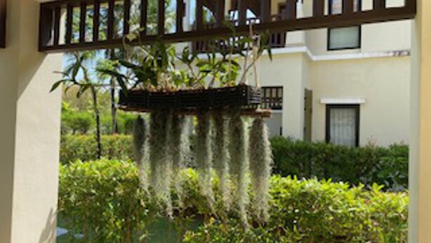 A balcony with a hanging planter, a chair, and a building in the background. - Poolside Luxury Laguna 2-bed Villa in Cherngtalay (Choeng Thale)