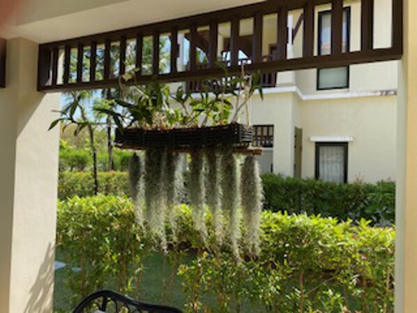 Villa | Property grounds