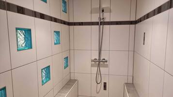 Shower, hair dryer, soap, toilet paper