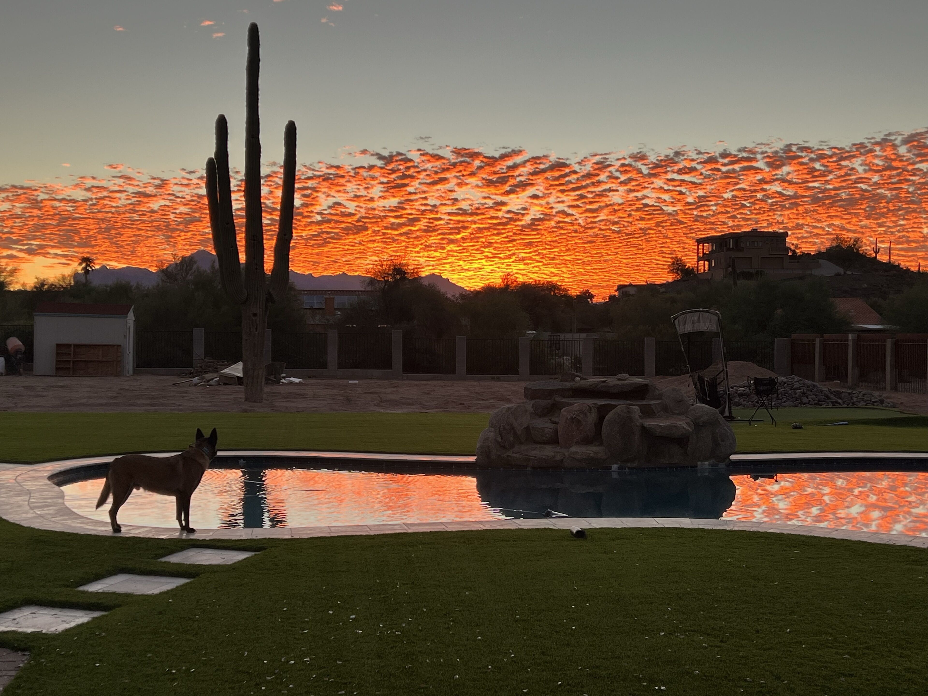 Spacious desert oasis! Room to play, tons of parking! 
