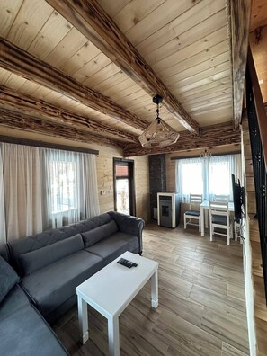 Comfort House | Living area | 44-inch flat-screen TV with cable channels, heated floors - Zagrad Homes in Zabljak (Razvršje)