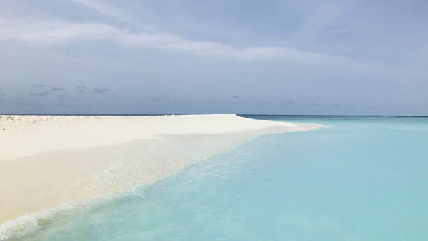 Une plage à l’eau turquoise et limpide et au sable blanc.
