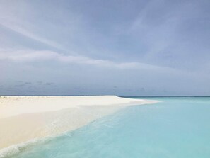 Safari - Chak'z 1964 Beach (Dharavandhoo)