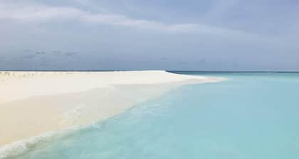 Chak'z 1964 Beach