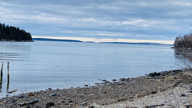 A calm lake with a rocky shoreline and a forested area on one side.
