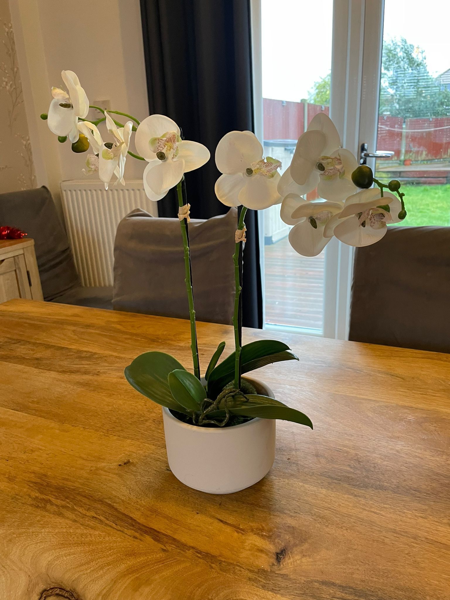 A potted orchid plant on a wooden table in a room with a large window, a radiator, and a grey sofa.