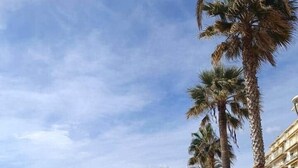 Un paseo marítimo con playa de arena, palmeras y una hilera de edificios con balcones.