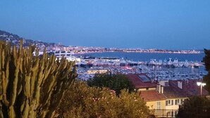 Un puerto deportivo con barcos amarrados, un paisaje urbano al fondo y un cactus en primer plano.