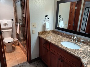 Shower, hair dryer, towels, soap - Anywhere in USA/World available (Stateline)