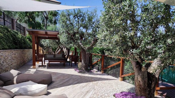 Uma área de pátio ao ar livre com piso de pedra, assentos acolchoados, pérgola e uma árvore.
