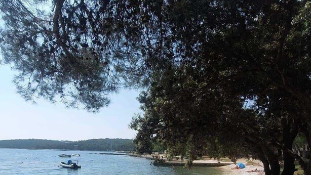 Una playa de guijarros con barcos y árboles.