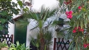 Un jardín con diversas plantas y un edificio blanco con una puerta verde.