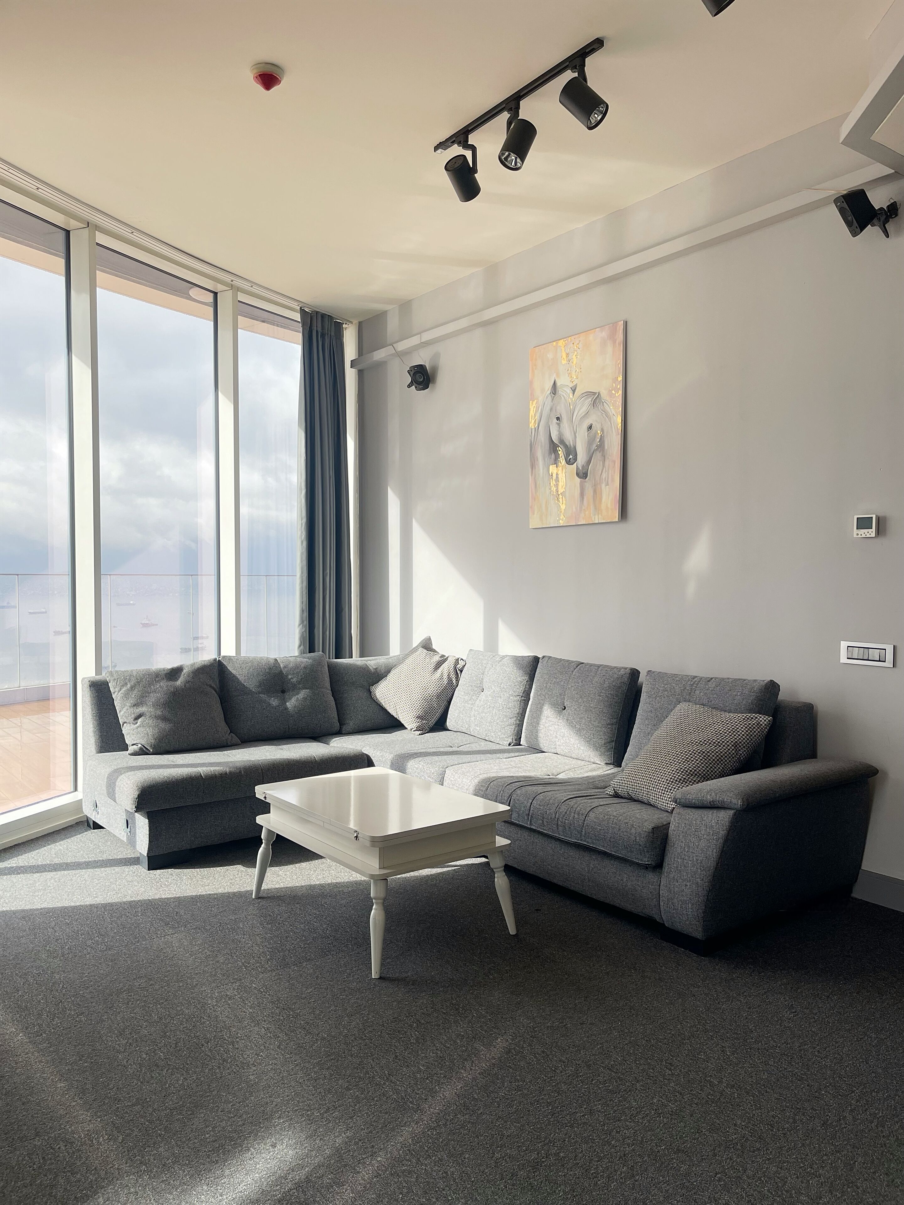 Spacious condo with skyline view