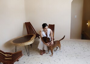 Interior - Casa Paseo Montejo / Centro Mérida Yucatán 00
(Mérida)