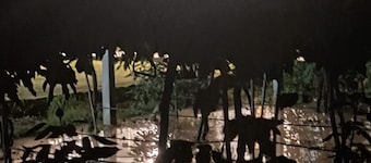 HUERTA HOSPEDAJE EL MANGUAL