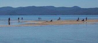 Splendido appartamento con 3 camere da.