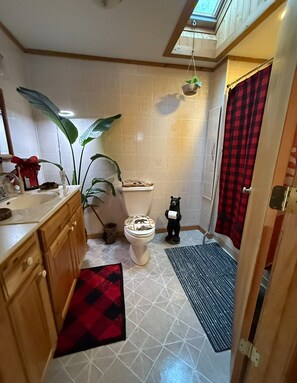 Hair dryer, towels, soap, shampoo