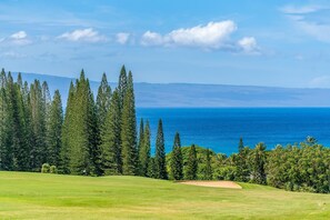 Apartment | 2 bedrooms, Internet - Kapalua Ridge Villas 1612 (Lahaina)